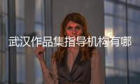 武汉作品集指导机构有哪些？