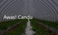 Awas! Candu Judol Sama Bahayanya dengan Candu Narkoba