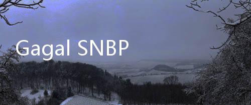 Gagal SNBP 2025? Ini 8 Daftar Seleksi Masuk PTN Lainnya yang Masih Dibuka, Camaba Gak Perlu Cemas